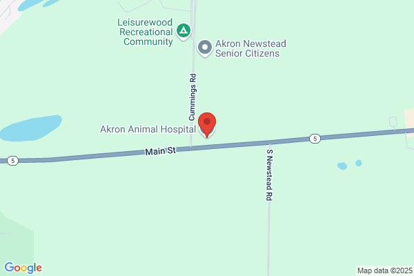 Akron Animal Hospital