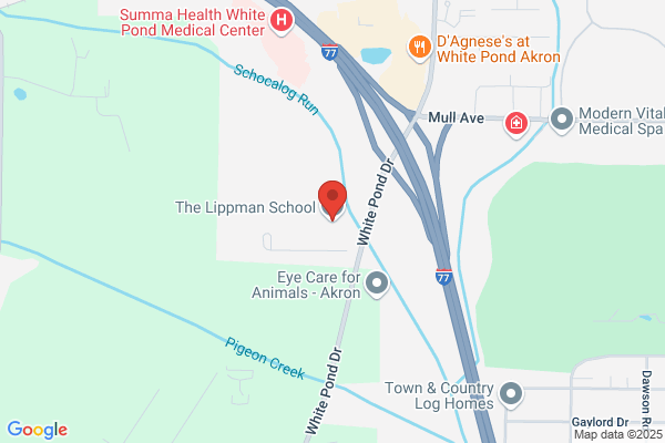 Lippman Day School