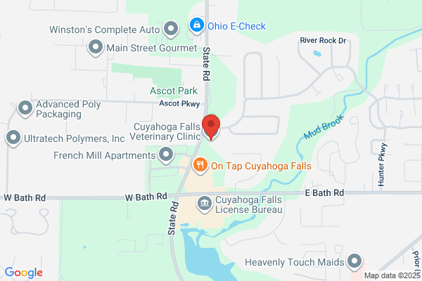 Cuyahoga Falls Veterinary Clinic Inc