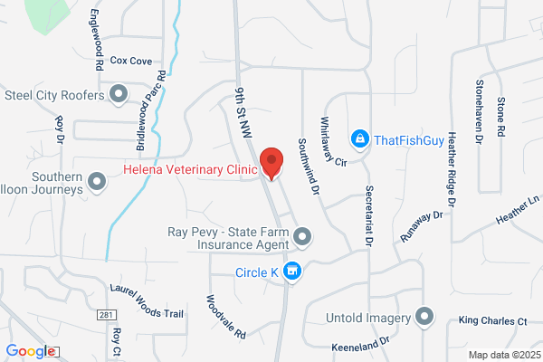 Companion Veterinary Clinic