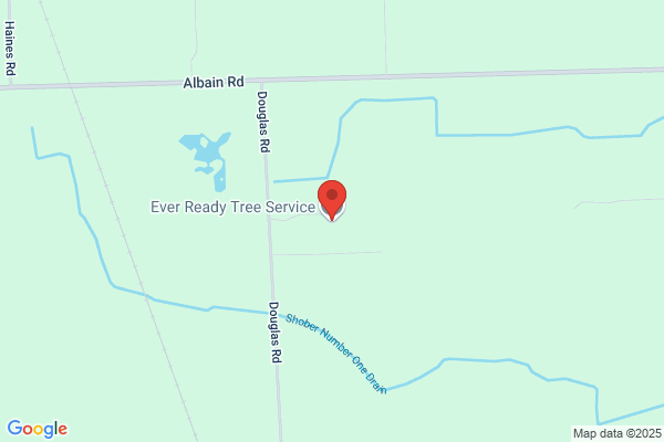 EverReady Tree Service & Landscaping