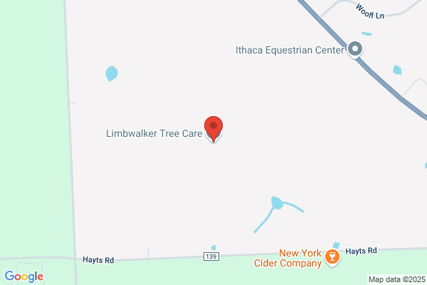 Limbwalker Tree Care