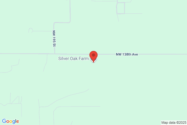 Split Oak Stables