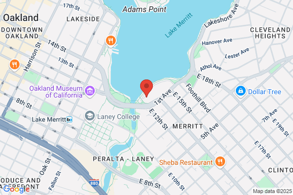 1200 Lakeshore Apartments