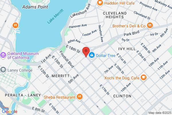 Dang-Vu Bay MD