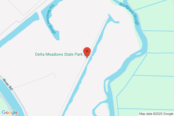 Delta Wetlands