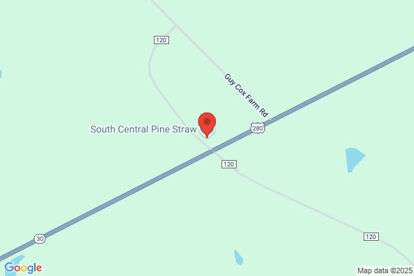 South Central Pine Straw