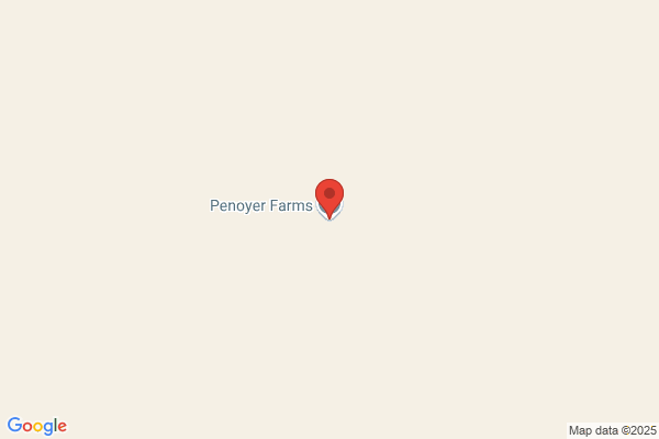 Penoyer Valley Electric