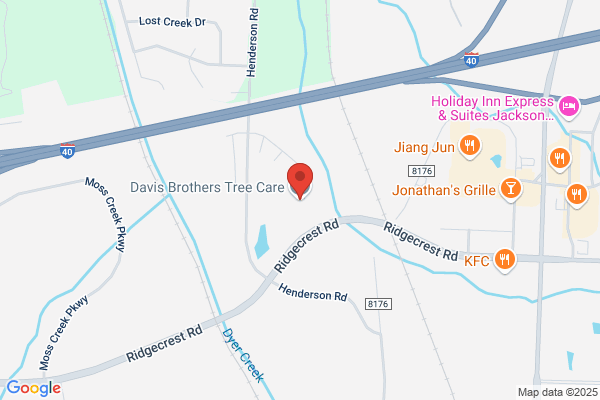 Davis Brothers Tree Care Inc.