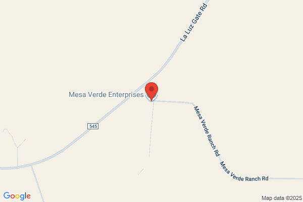 Mesa Verde Enterprises Inc