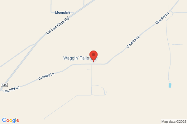 Waggin' Tails