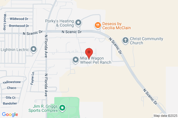AZ Drain Cleaning Specialists