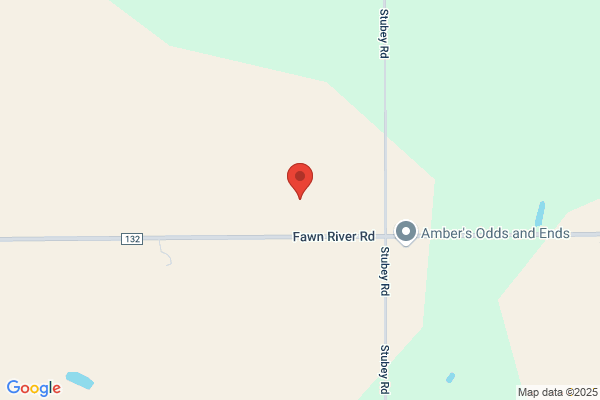 Bean Fields Professional Services