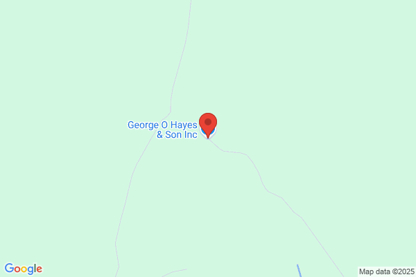 Hayes George O & Son