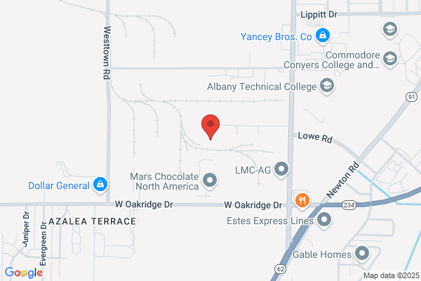 Albany Cold Storage Llc