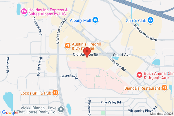 Advance Auto Parts