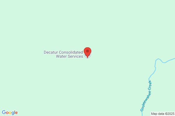 Dns Consolidated Inc