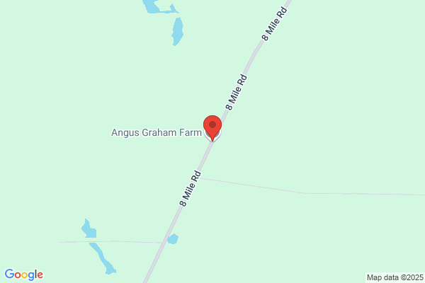 Graham Angus Farm