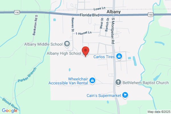 Albany High School