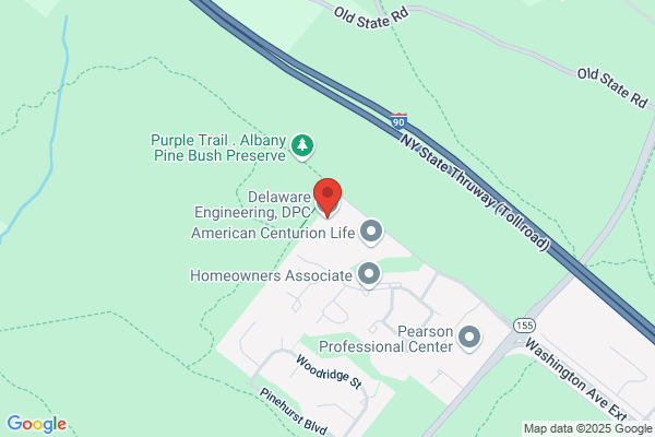 Deleware Professional Service Inc