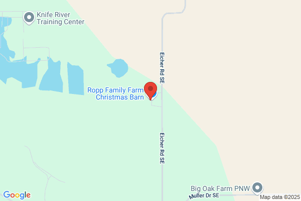 Eicher's Feedlot