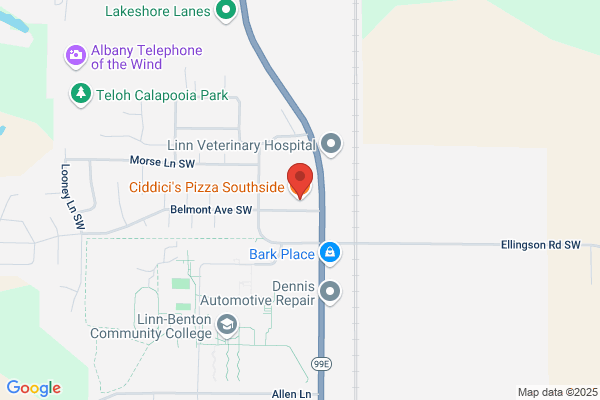 Ciddici's Pizza