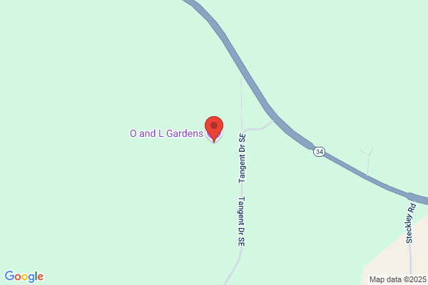 Poet's Garden