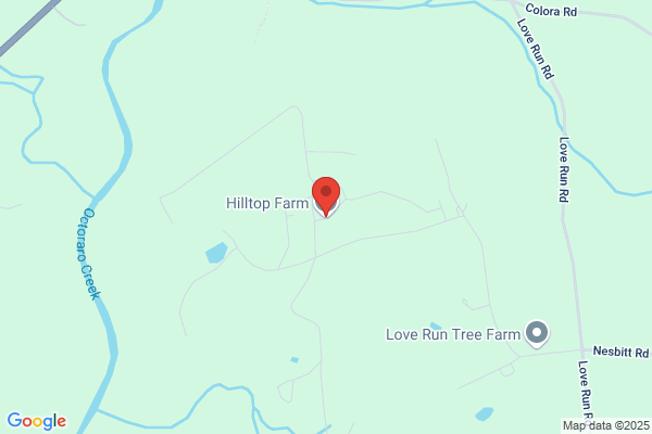Hilltop Farms Swine Genetics