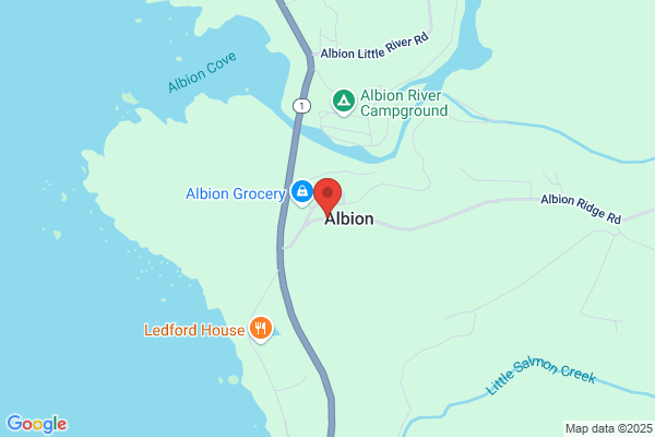 Albionics