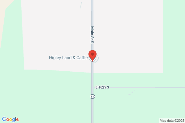 Higley Land & Cattle