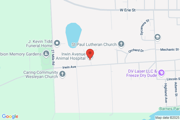 Irwin Avenue Animal Hospital Pllc