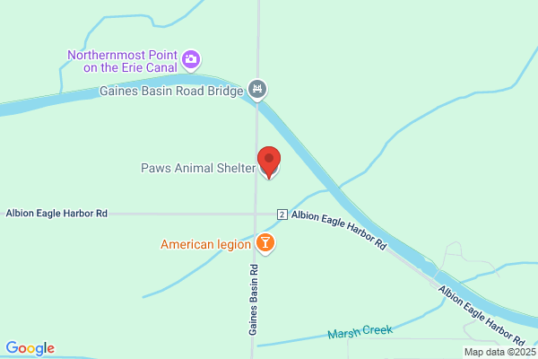 Paws Animal Shelter