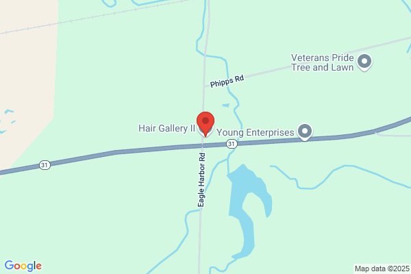Hair Gallery II