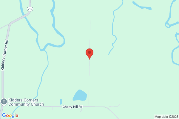 Pinckneys Towing