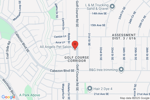 All Angels Pet Salon