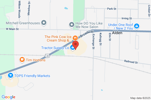Advance Auto Parts