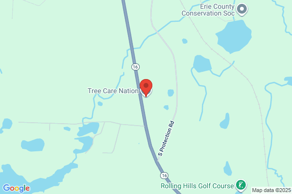 Tree Care Nation