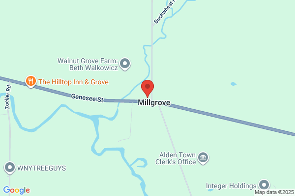 Millgrove Svce Center