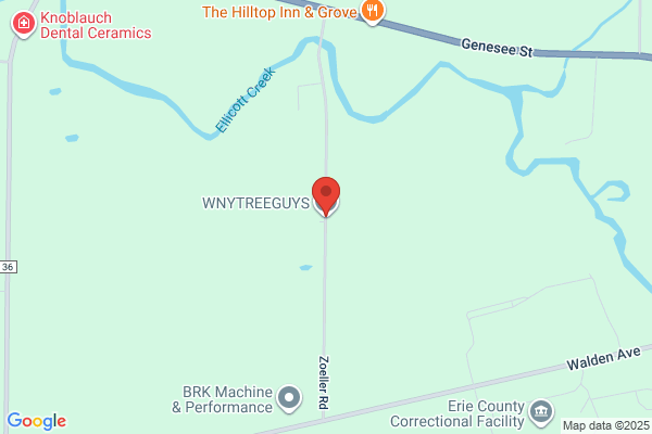 WnyTreeGuys