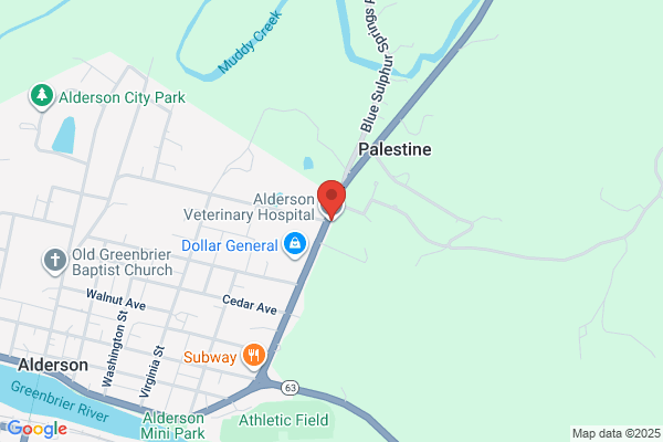 Alderson Veterinary Service