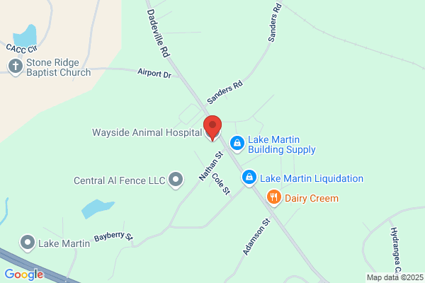 Martin, Susan A DVM - Wayside Animal Hospital