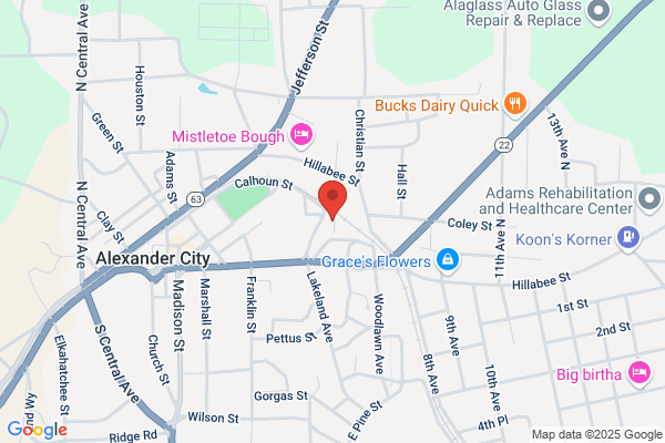 Alexander City City of, Other Departments, Gas Department