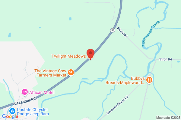 Twilight Meadows