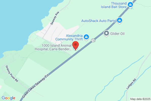 Thousand Island Animal Hospital
