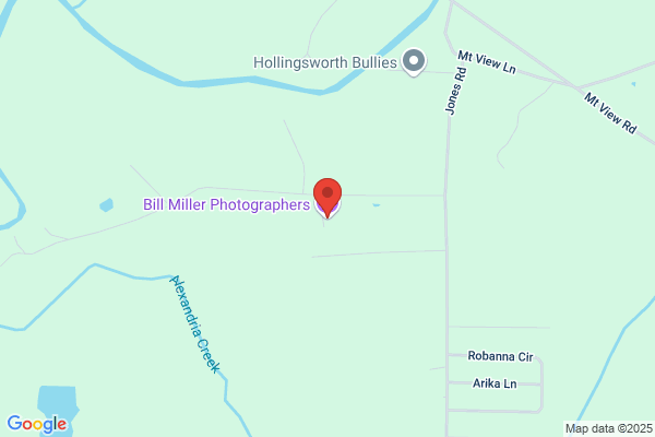 Miller Bill Photographers Inc