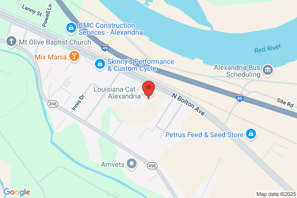 Louisiana Cat - Alexandria