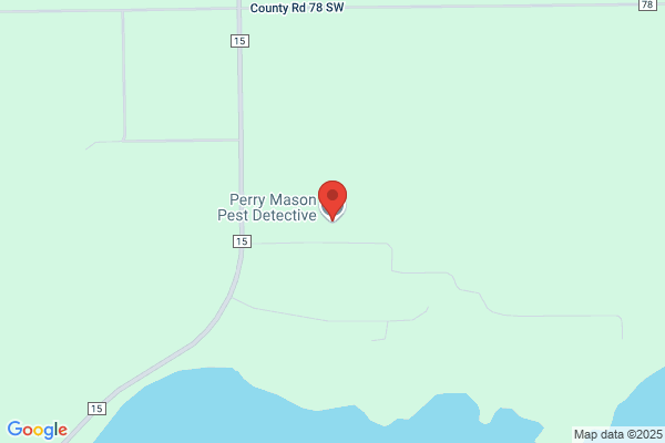 Perry Mason Pest Detective