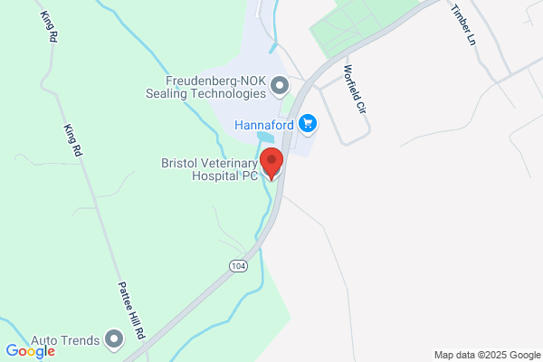 Bristol Veterinary Hospital - Jill Prince DVM