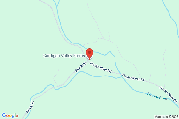 Cardigan Builders Inc