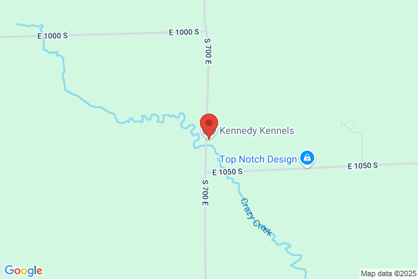 Kenneys Kennel